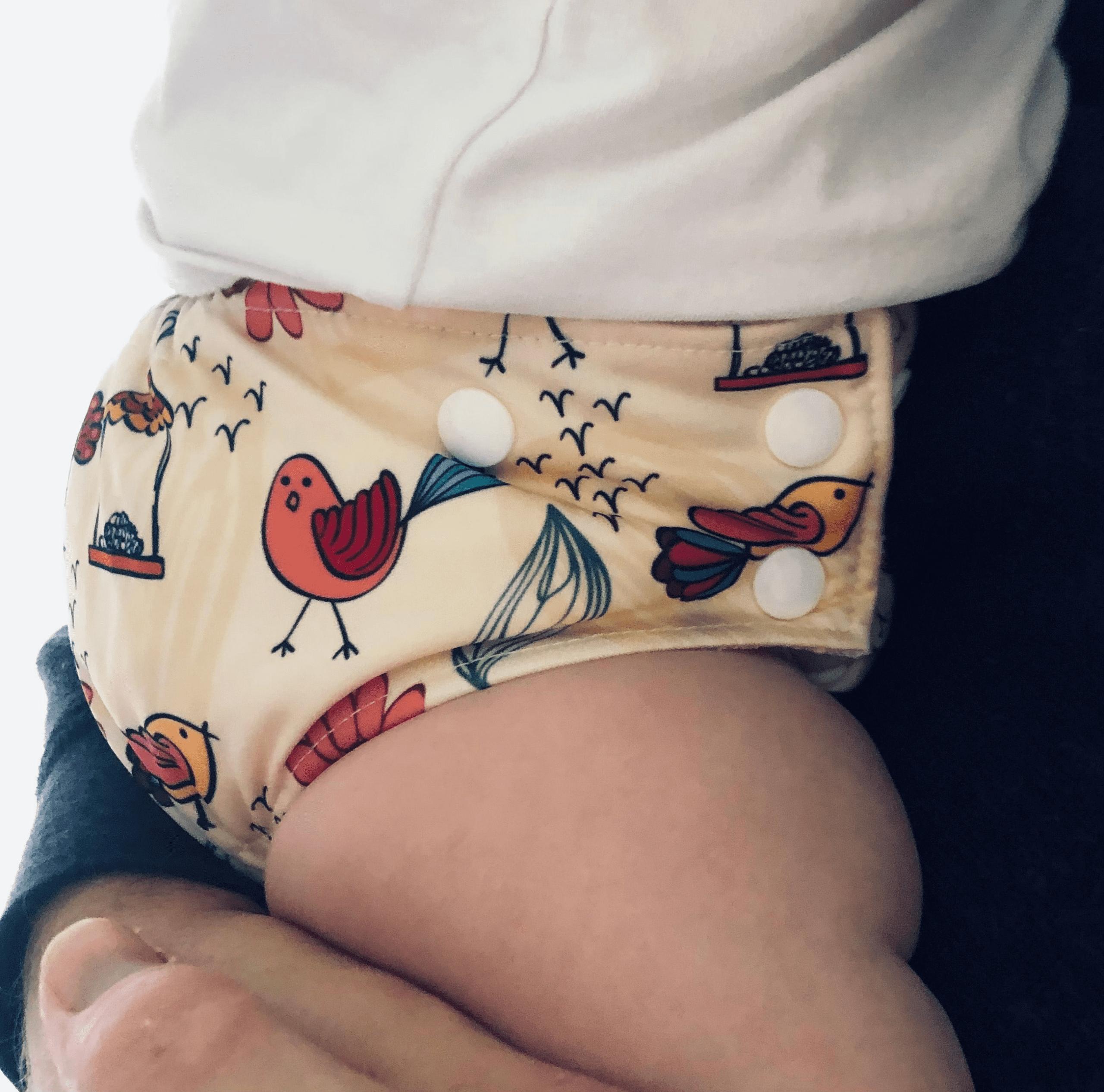 Autumn Tweets Bamboo Cotton MCN - Image 9