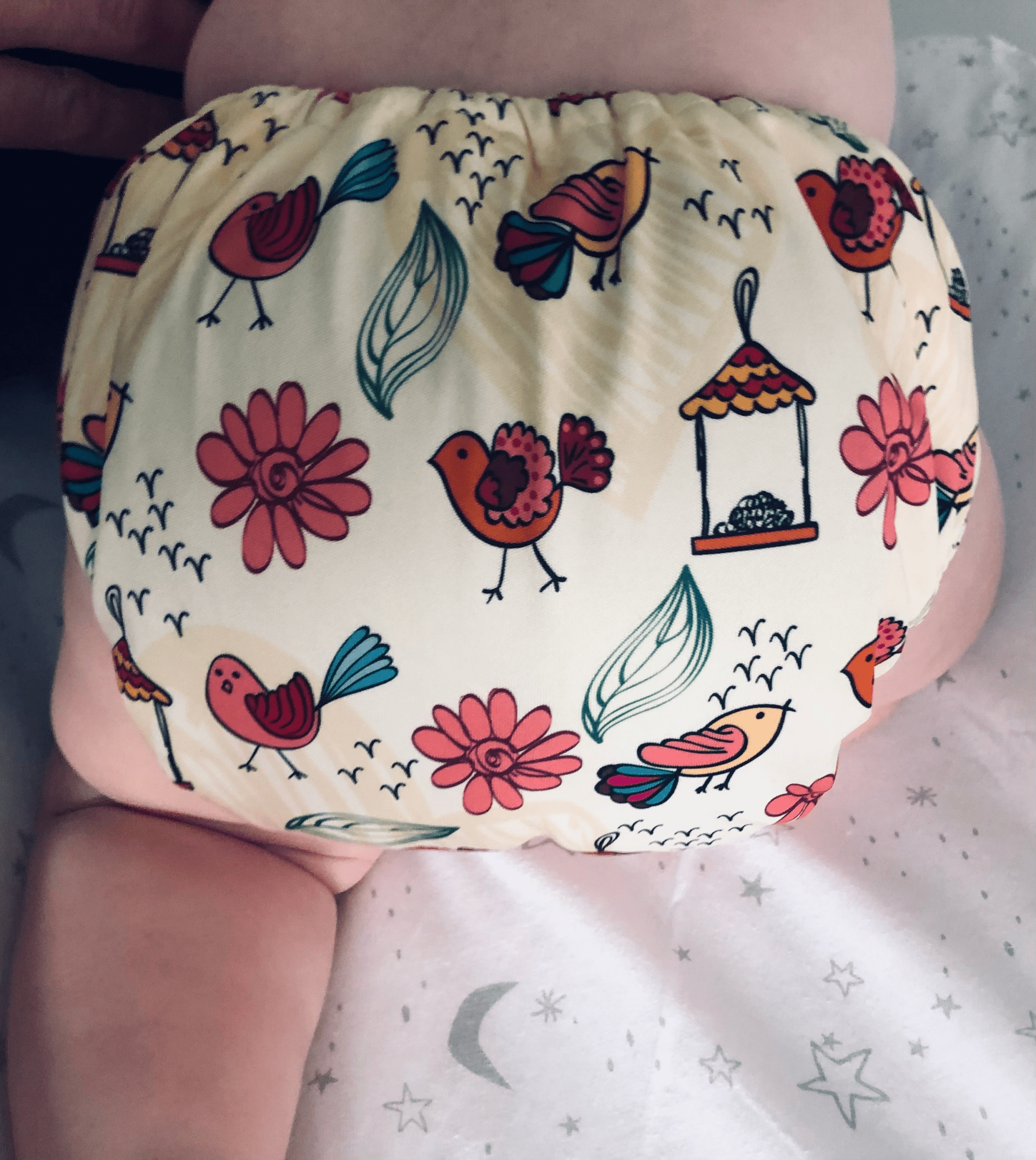 Autumn Tweets Bamboo Cotton MCN - Image 6