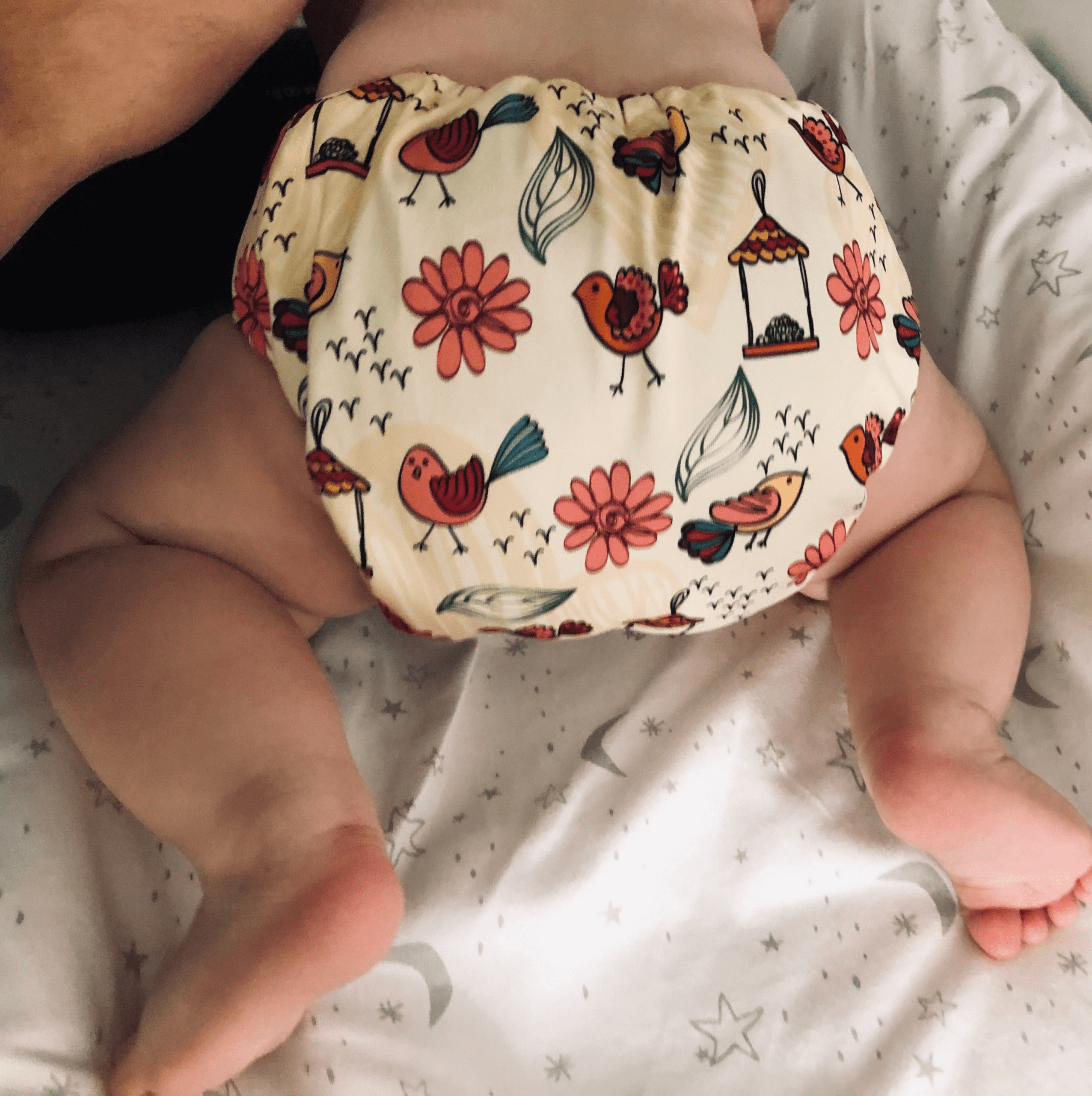 Autumn Tweets Bamboo Cotton MCN - Image 11