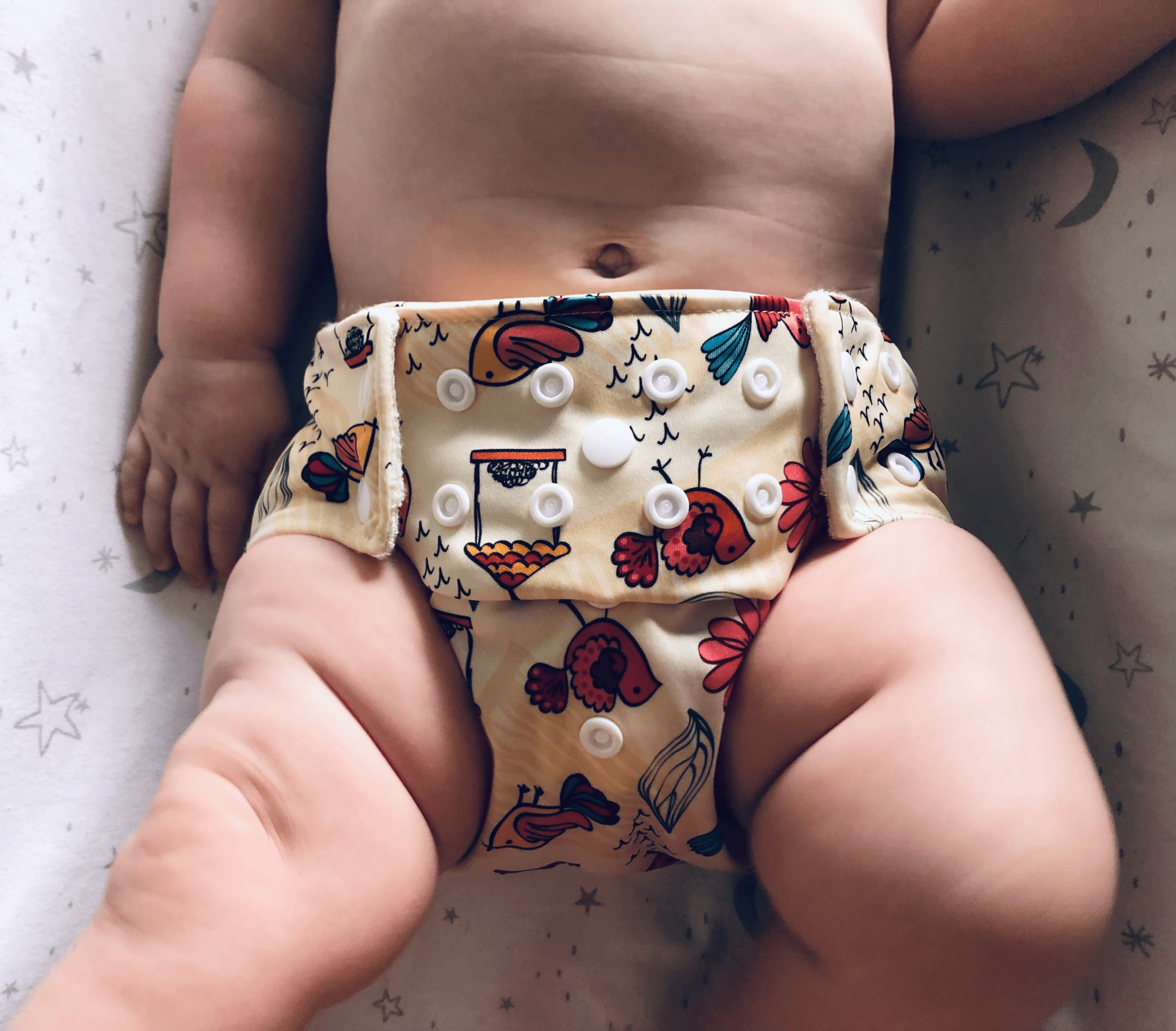 Autumn Tweets Bamboo Cotton MCN - Image 15