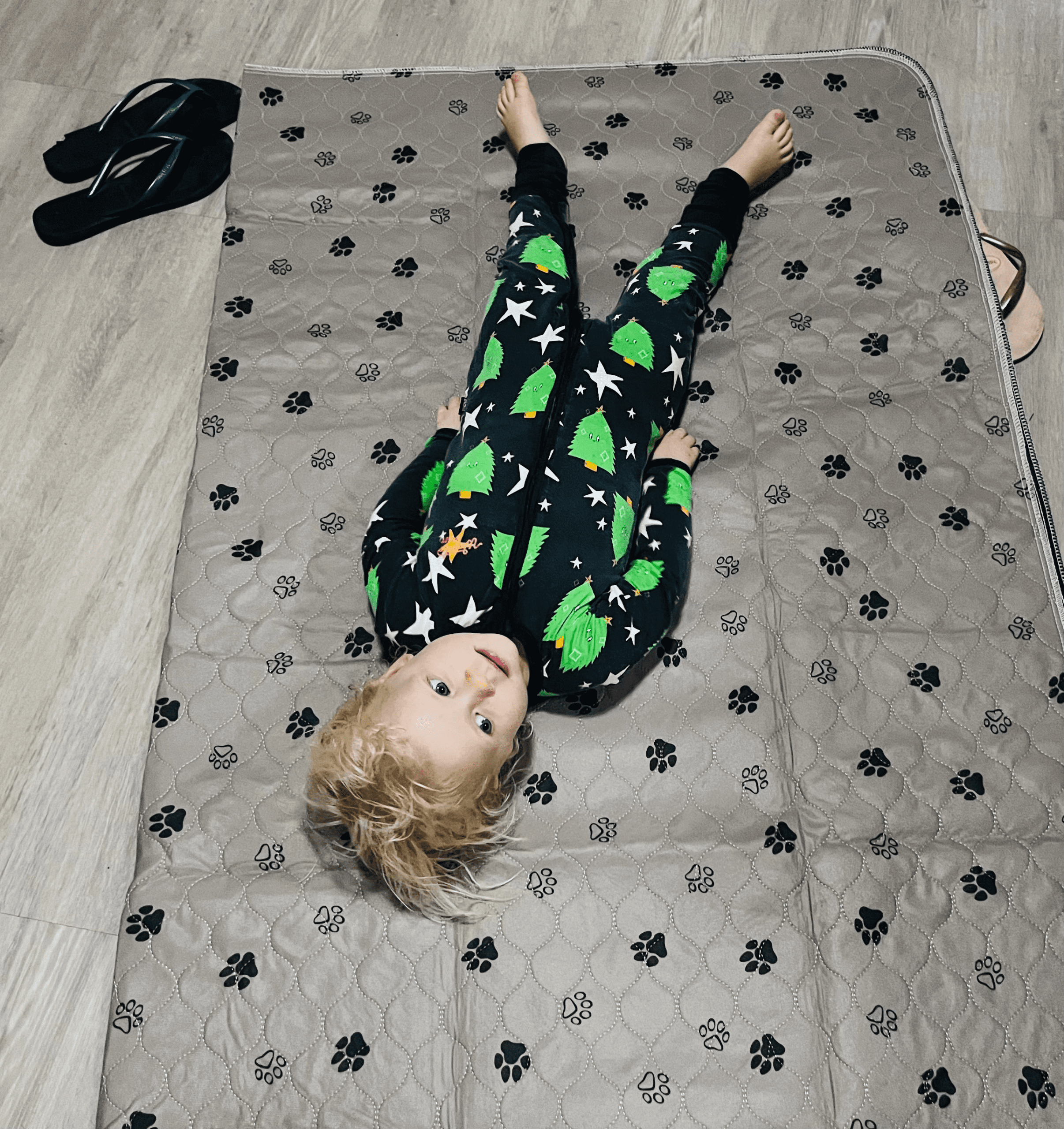 Sunny Puppy Extra Large Reusable Dog Mats - Image 8