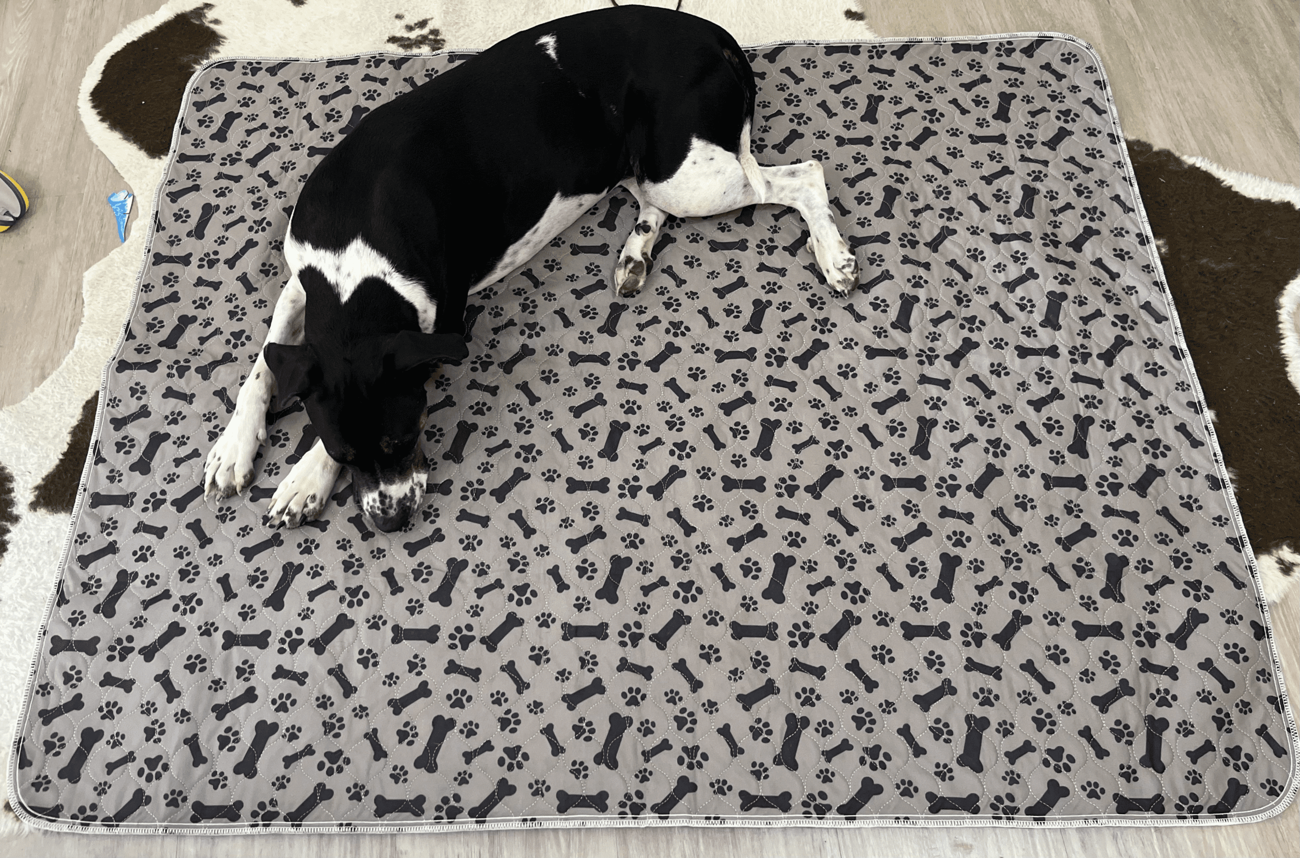 Sunny Puppy 118x118cm Reusable Dog Mats